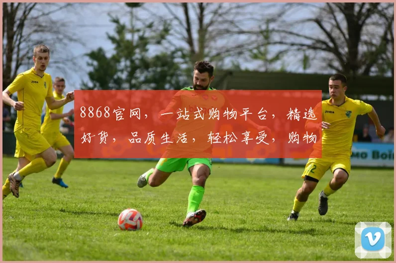 8868官网，一站式购物平台，精选好货，品质生活，轻松享受，购物无忧
