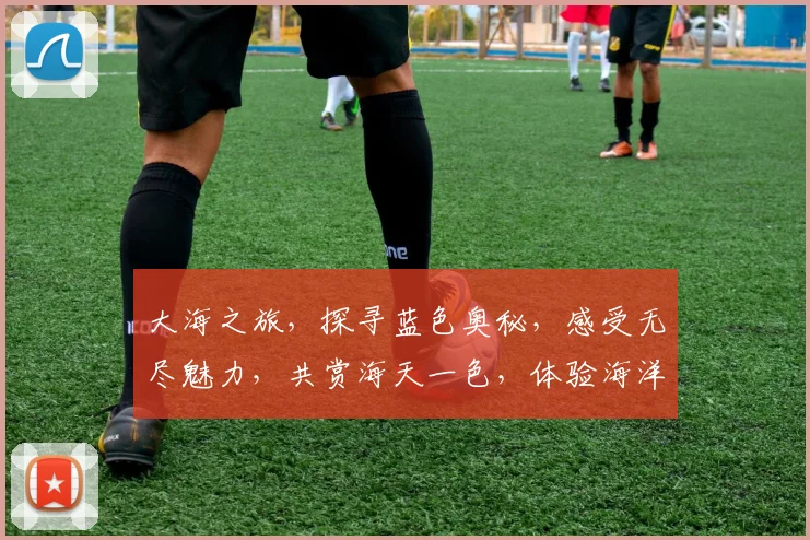 大海之旅，探寻蓝色奥秘，感受无尽魅力，共赏海天一色，体验海洋风情。
