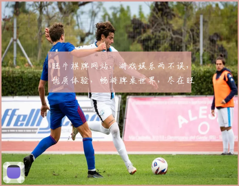 旺牛棋牌网站，游戏娱乐两不误，优质体验，畅游牌桌世界，尽在旺牛棋牌逗乐无穷